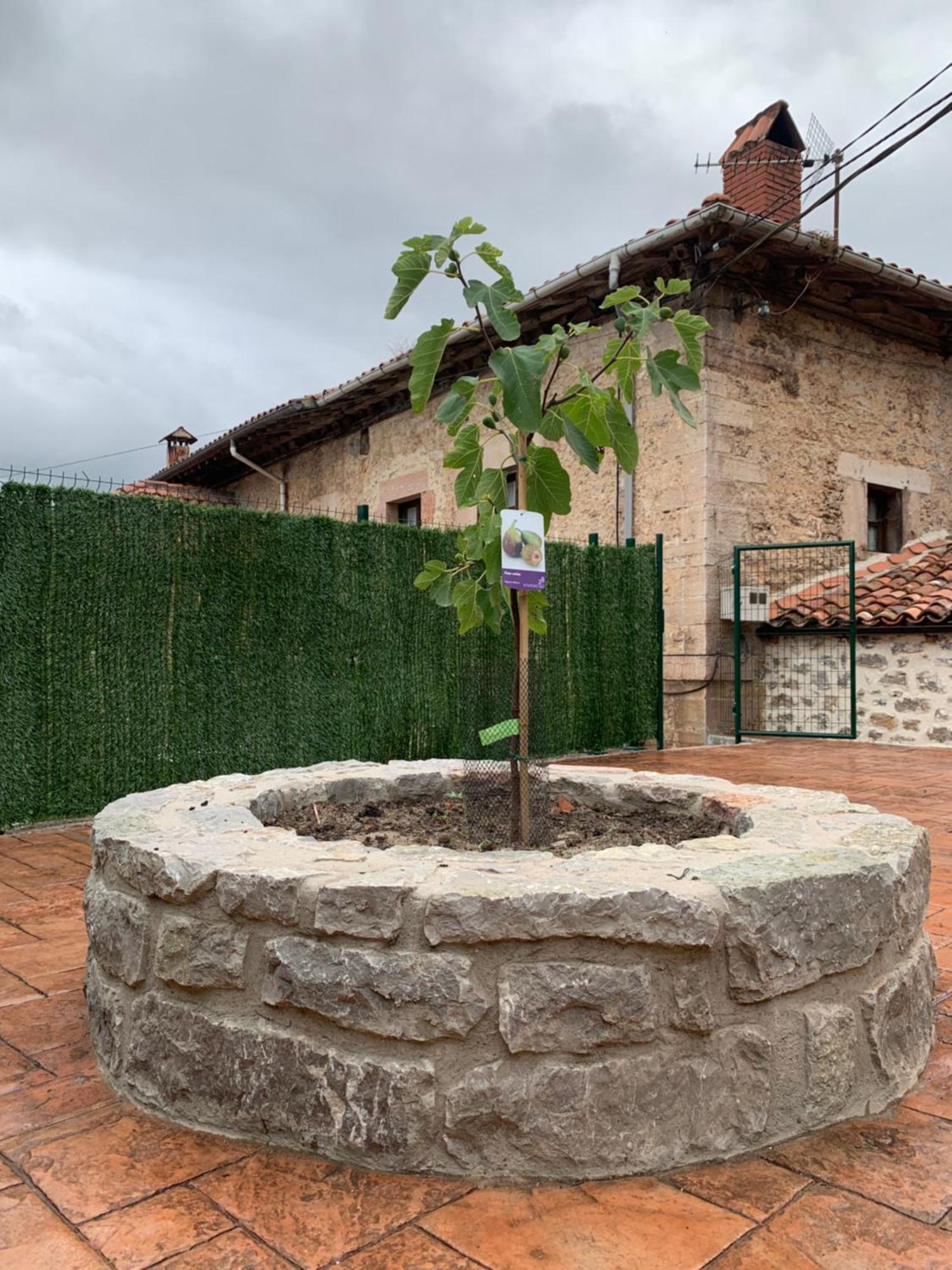 La Breval Villa Alles ภายนอก รูปภาพ